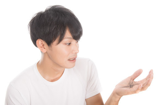 夏の抜け毛.jpg